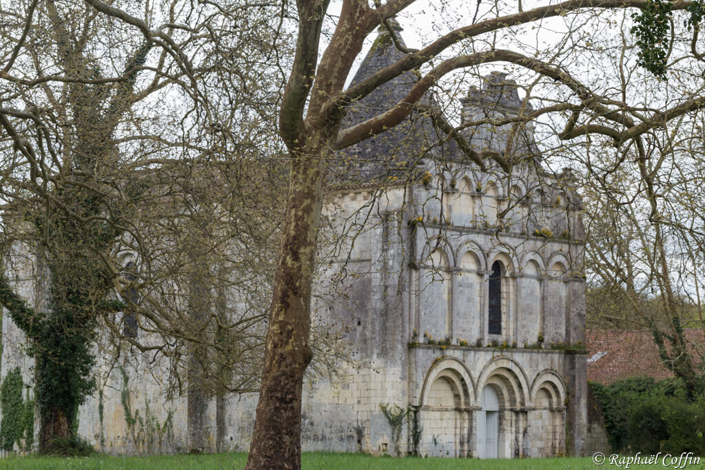 Vision de l'église abandonnée à travers les branches des platanes