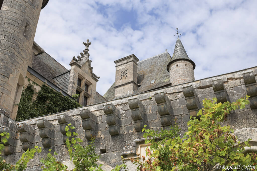 Château médiéval envahi par le lierre