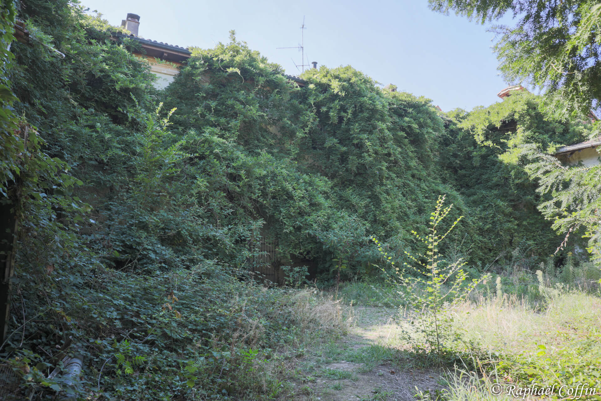 Façade complètement recouverte par la végétation d'une villa abandonnée.