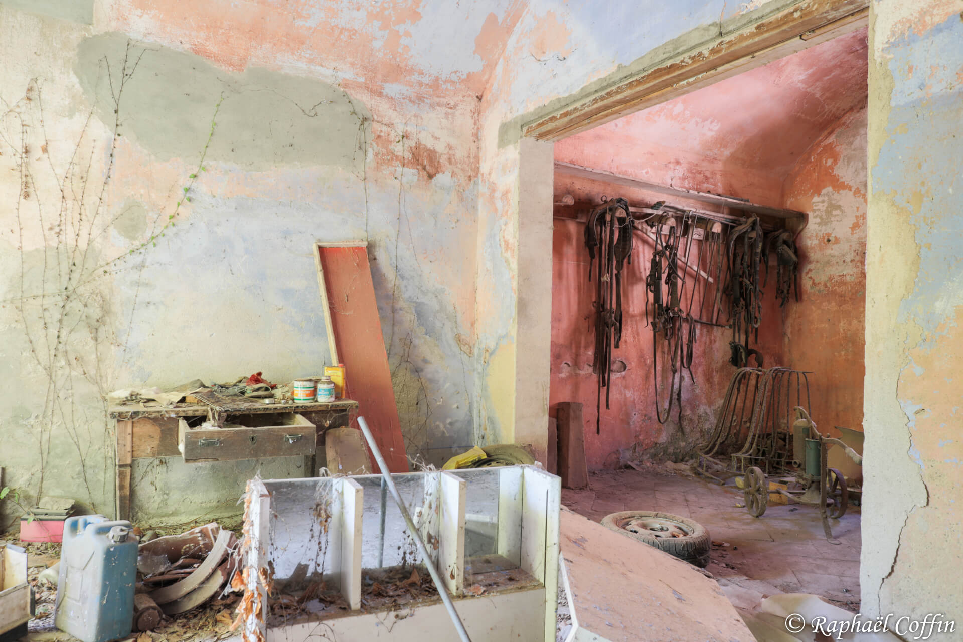 Matériel équestre abandonné dans un garage sur un jolie fond rouge terni.